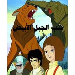 ذئب الجبل الأبيض