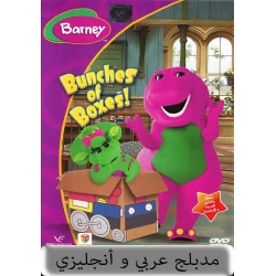 Barney : Bunches of Boxes