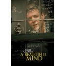 A Beautiful Mind