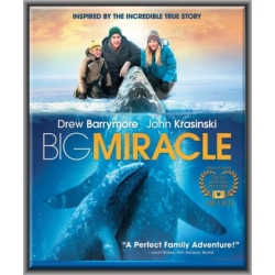 Big Miracle