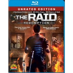 The Raid : Redemption