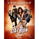 Cat Run