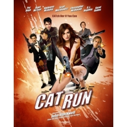 Cat Run