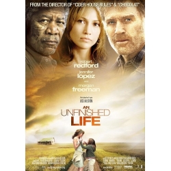 An unfinished Life