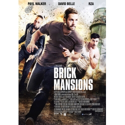 Brick Mansions