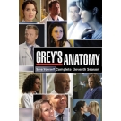 Grey's Anatomy : season 11