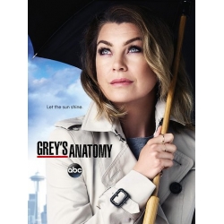 Grey's Anatomy : season 12