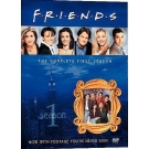 Friends : Season 1