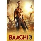 Baaghi 3