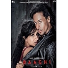 Baaghi